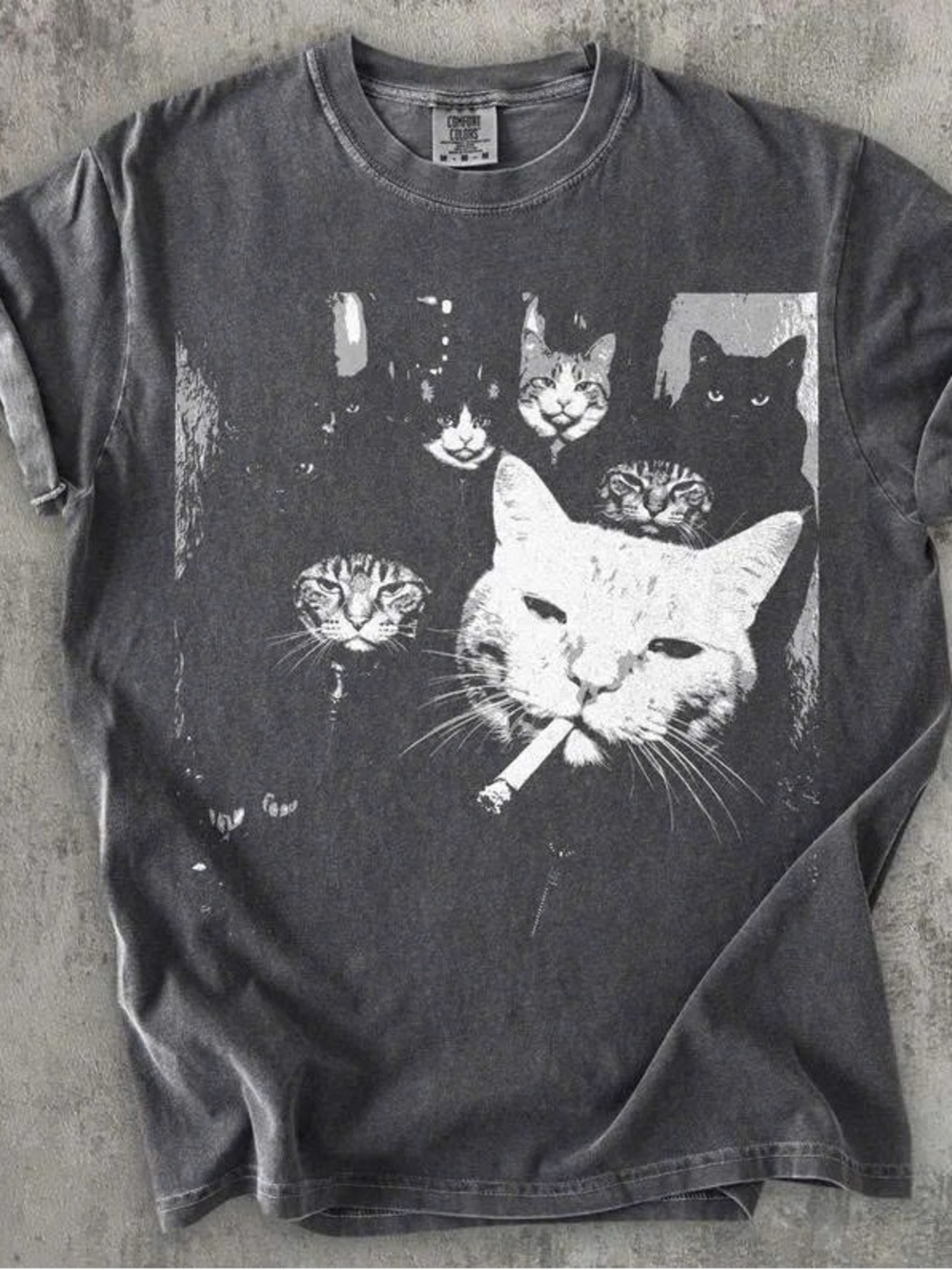 -Inspired Gray Cat Graphic T-Shirt - Cats Design